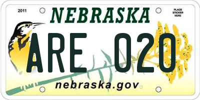 NE license plate ARE020