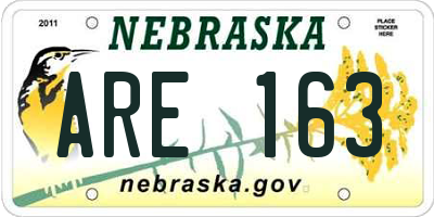 NE license plate ARE163