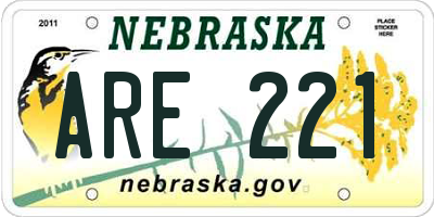 NE license plate ARE221
