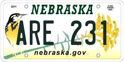 NE license plate ARE231