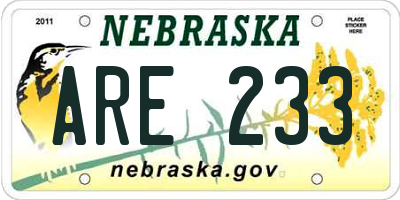 NE license plate ARE233
