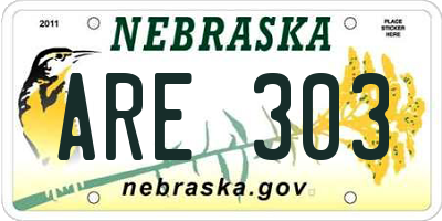 NE license plate ARE303