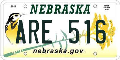 NE license plate ARE516