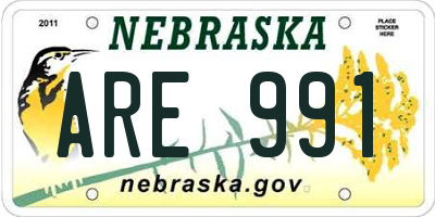 NE license plate ARE991