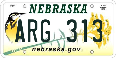 NE license plate ARG313