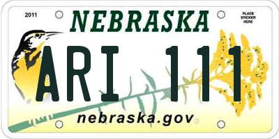 NE license plate ARI111