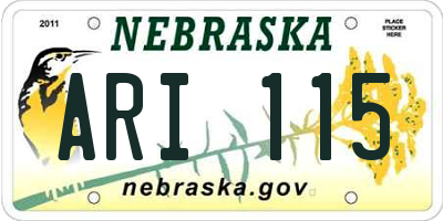 NE license plate ARI115