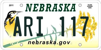 NE license plate ARI117