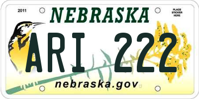 NE license plate ARI222
