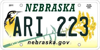 NE license plate ARI223