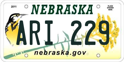 NE license plate ARI229