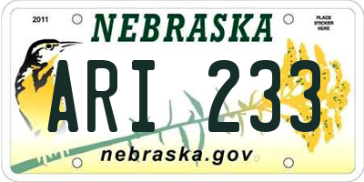 NE license plate ARI233