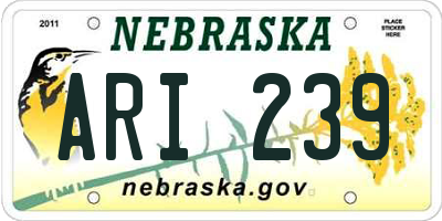 NE license plate ARI239