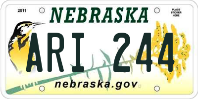 NE license plate ARI244
