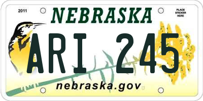NE license plate ARI245