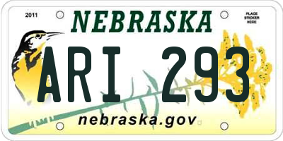 NE license plate ARI293
