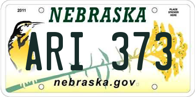 NE license plate ARI373