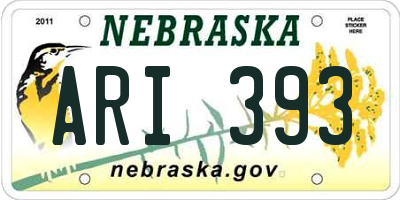 NE license plate ARI393