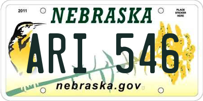 NE license plate ARI546