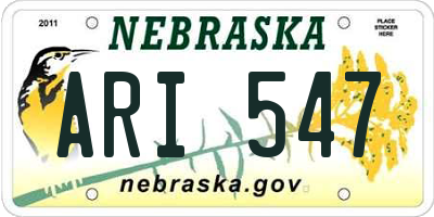 NE license plate ARI547