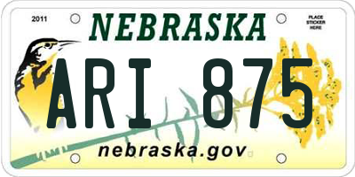 NE license plate ARI875
