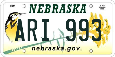 NE license plate ARI993