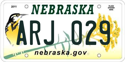NE license plate ARJ029