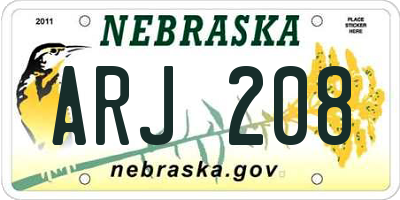 NE license plate ARJ208