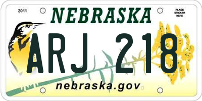 NE license plate ARJ218