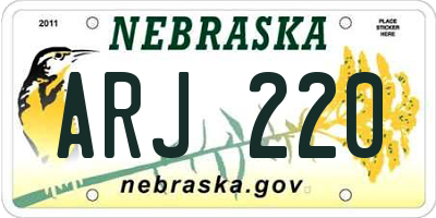 NE license plate ARJ220