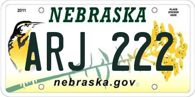 NE license plate ARJ222