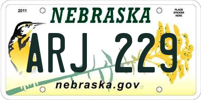 NE license plate ARJ229
