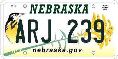 NE license plate ARJ239