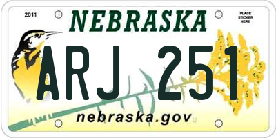 NE license plate ARJ251