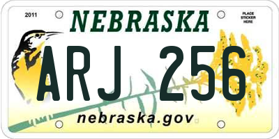 NE license plate ARJ256