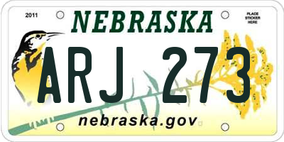 NE license plate ARJ273