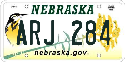 NE license plate ARJ284