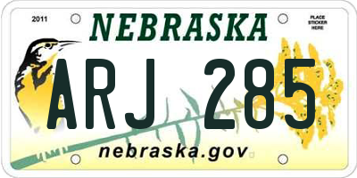 NE license plate ARJ285