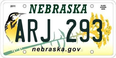 NE license plate ARJ293