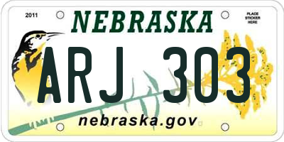 NE license plate ARJ303