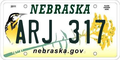 NE license plate ARJ317