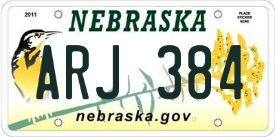 NE license plate ARJ384