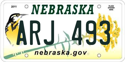NE license plate ARJ493