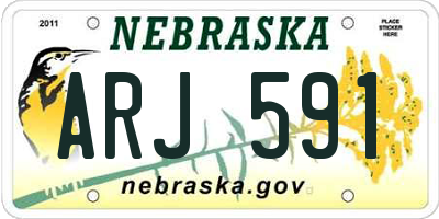 NE license plate ARJ591
