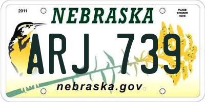 NE license plate ARJ739
