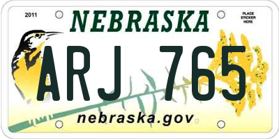 NE license plate ARJ765