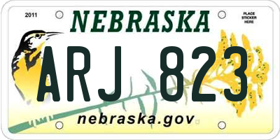 NE license plate ARJ823