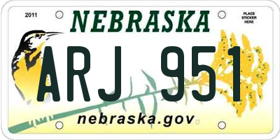 NE license plate ARJ951