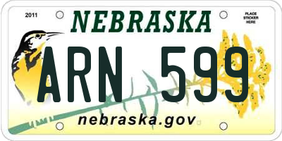 NE license plate ARN599