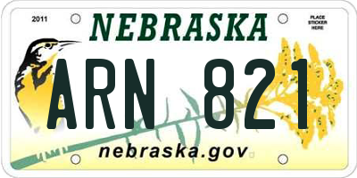 NE license plate ARN821